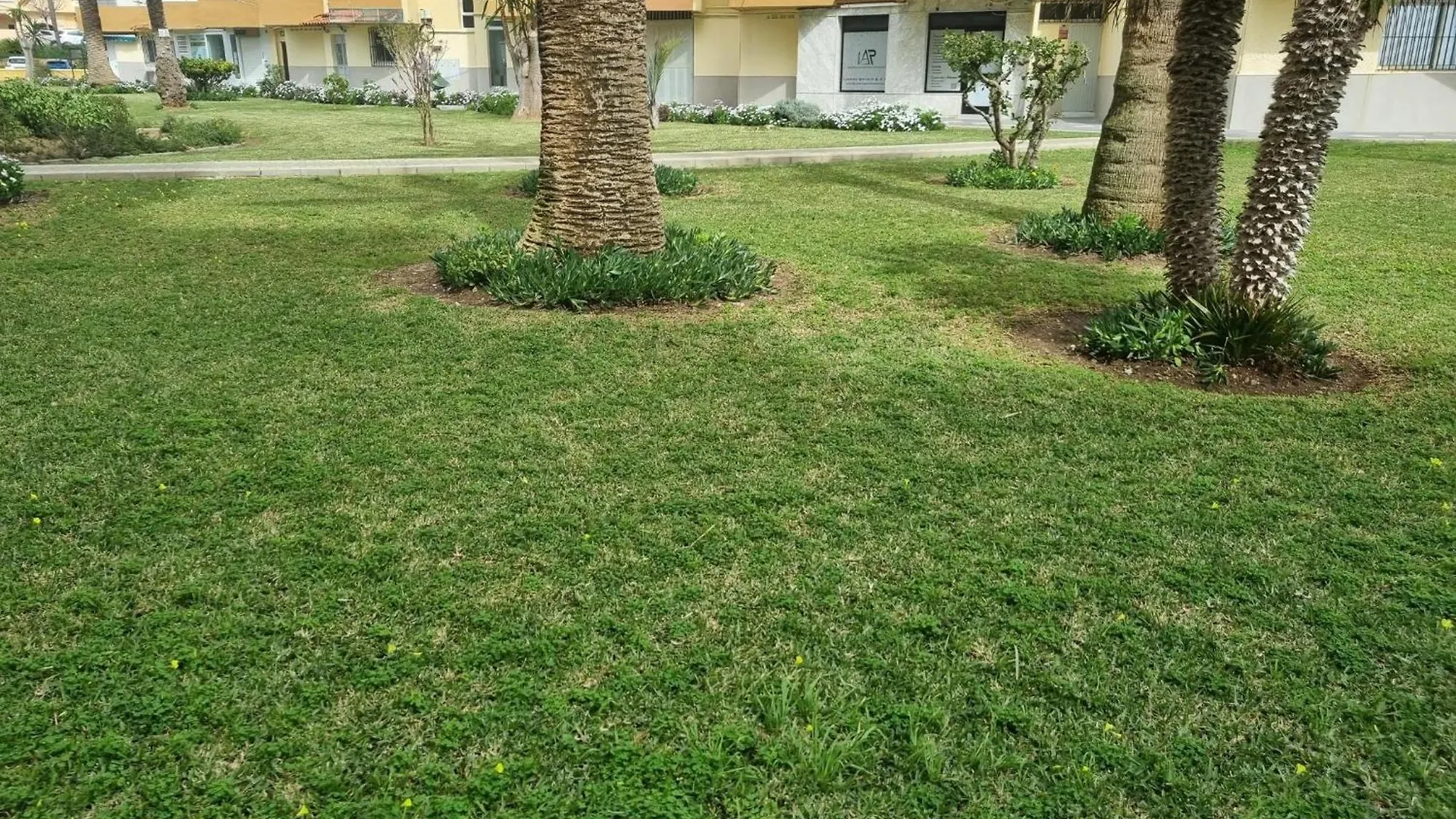 Mar Morze Appartement Algarrobo Costa